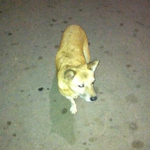 Media_httpdistillerys_vuijv